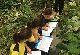 Tenemos educación primaria en nuestro colegio bilingüe Granada